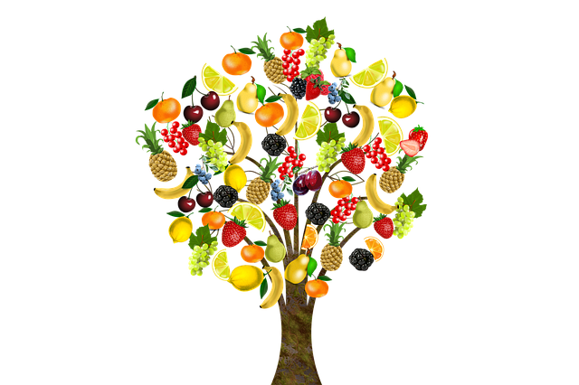 The Importance of Diet and Nutrition in Autoimmunity